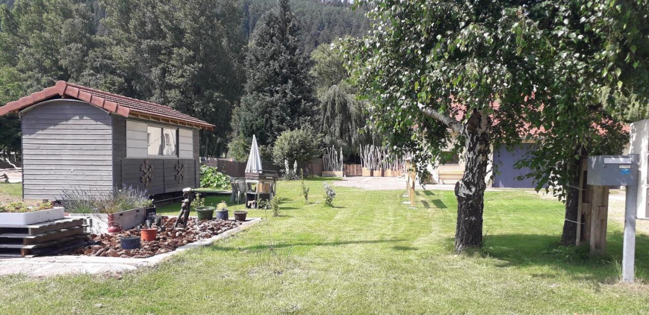 Gites, Les Jonquilles, Le Sagard Et Bungalow Les Brimbelles, Nature Et Detente La Houssiere Exteriér fotografie